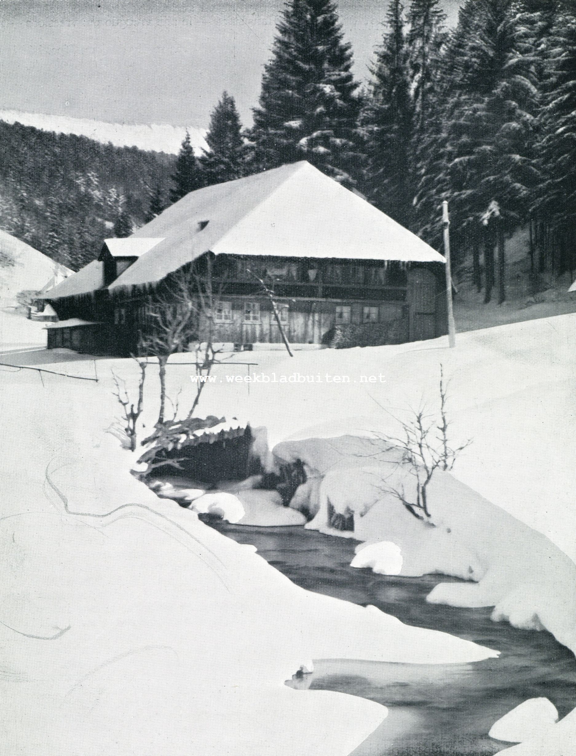 WINTERSPORT IN DUITSCHLAND. IN HET SCHWARZWALD. TODTMOOS, IM HFLE