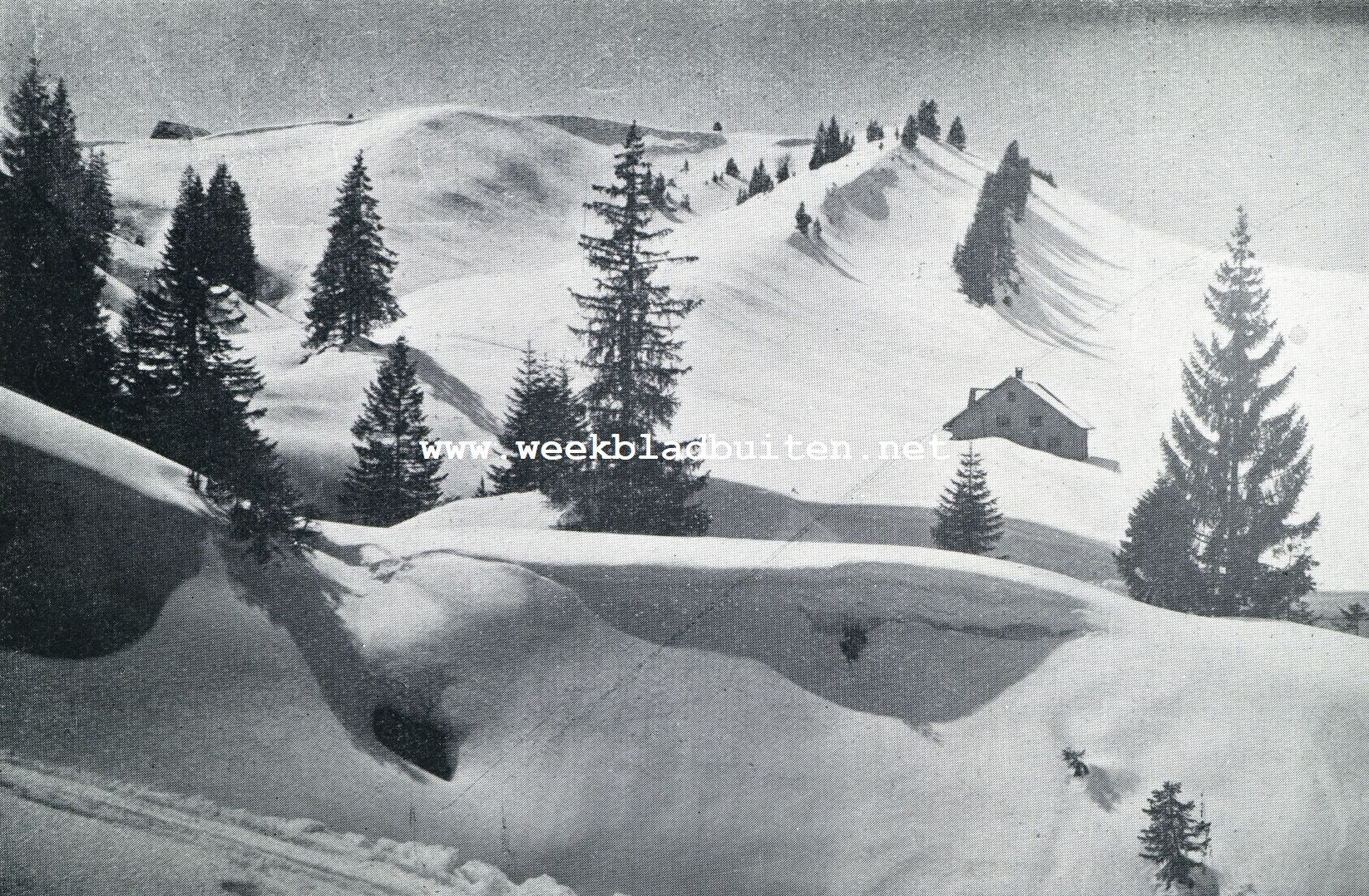 WINTERSPORT IN DUITSCHLAND. ...UBER ALLEN BERGEN