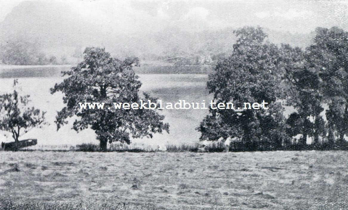 Kampeeren in Engeland. Aan den oever van het meer
