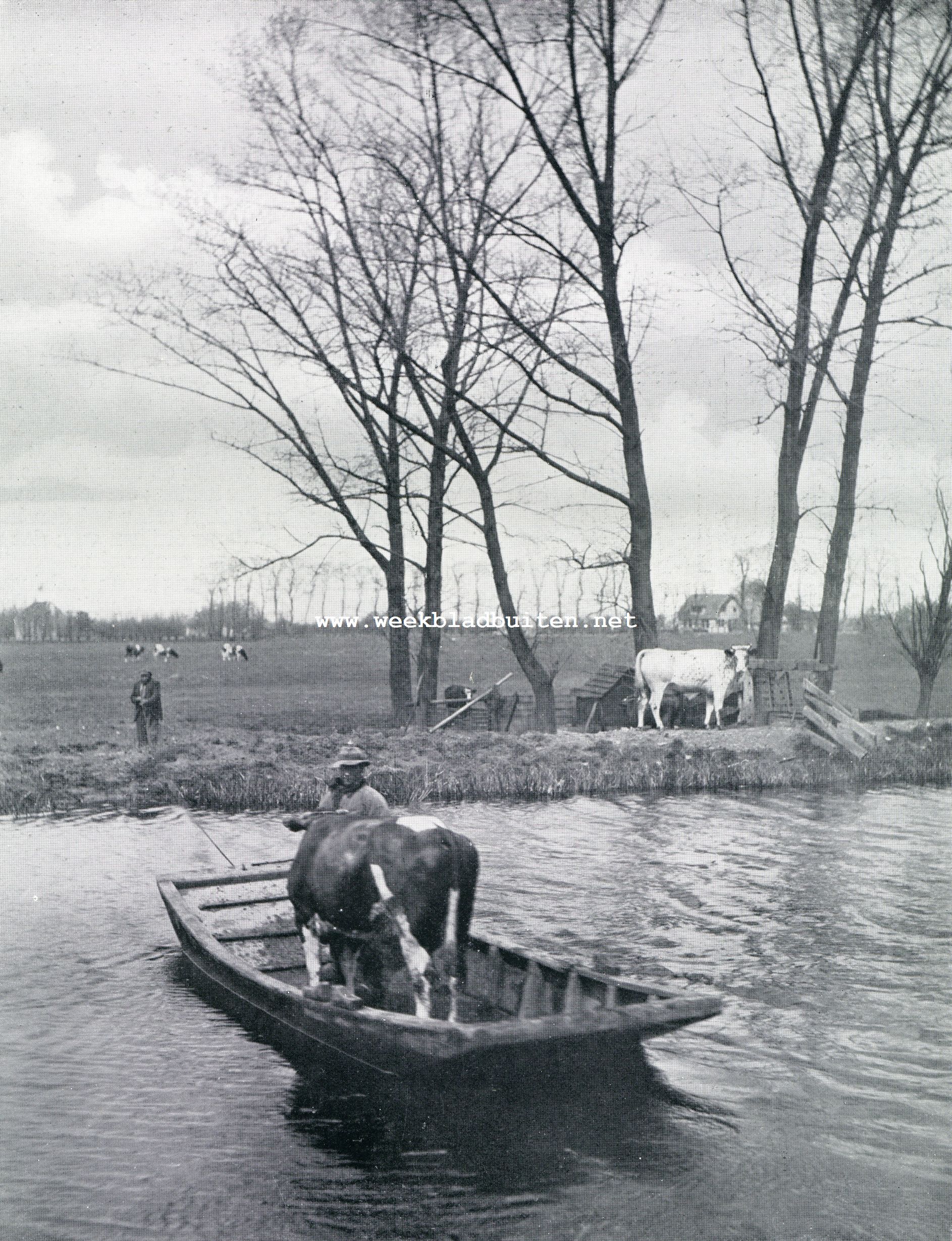 De eerste tocht naar de weide