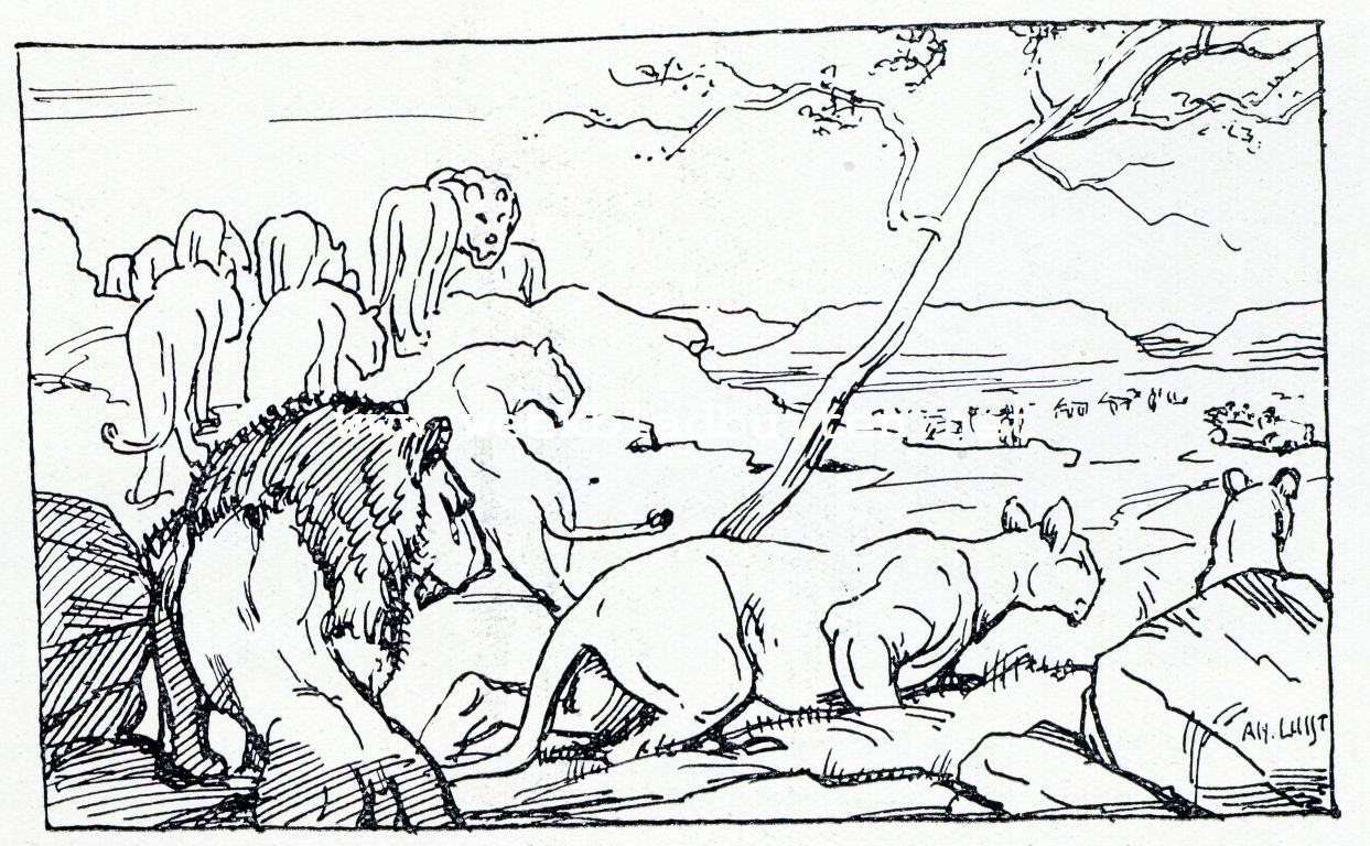 Leeuwen