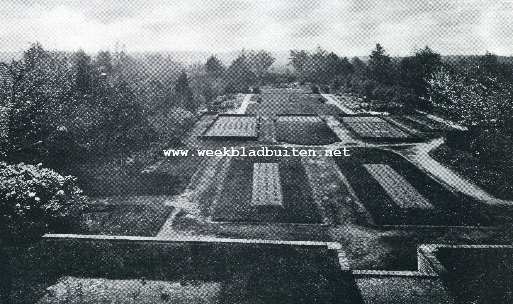 Tuin te Bussum, waarin een cadans, een samenleving van licht en schaduw, grastapijten, paden. Water, beplanting. (Aanleg D.F. Tersteeg)