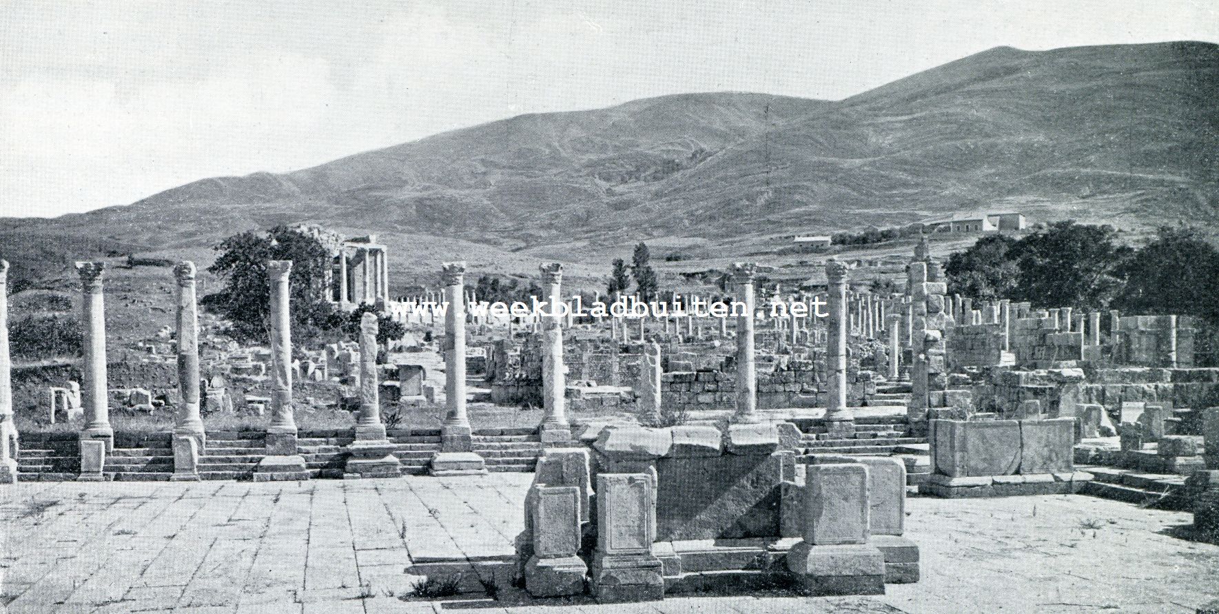 Romeinsche ruines in Noord-Afrika. Het Forum te Djemila