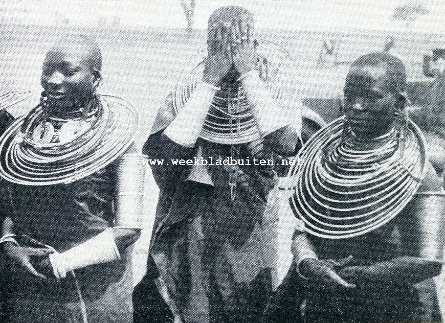 De olifanten komen. De getrouwde vrouwen in Massai-land dragen koperen halsringen en armbanden als teeken van haar waardigheid