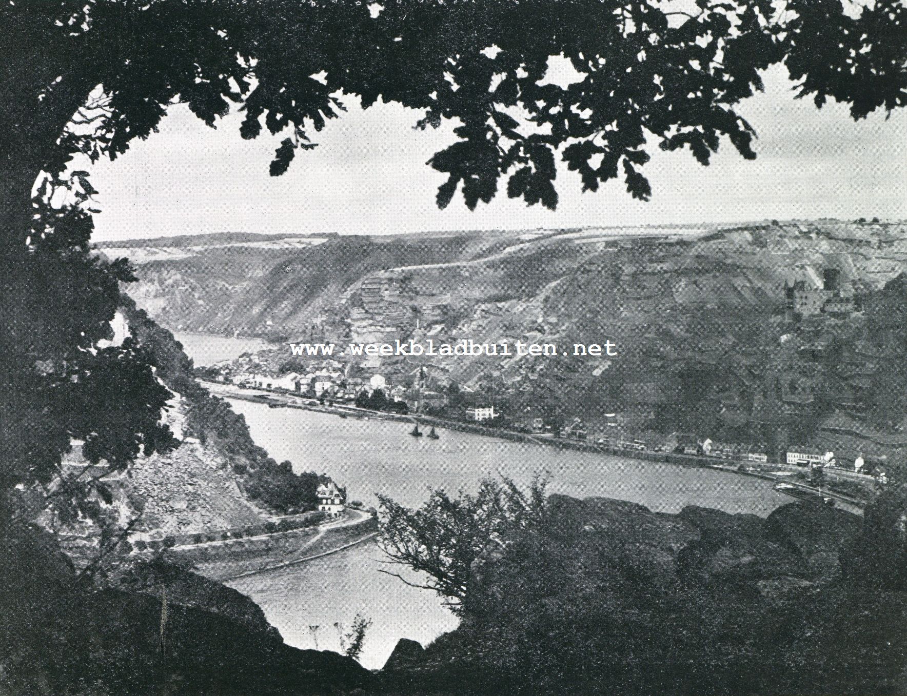 De wijn. Gezicht van de Lorelei op St. Goarshausen