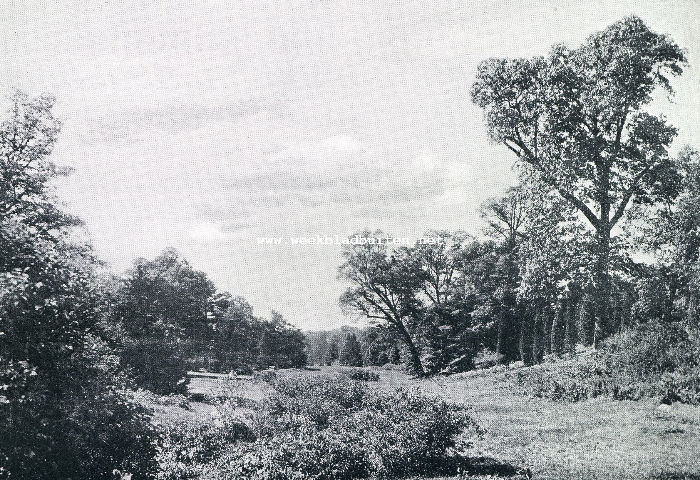 Amerika's Wonderpark, het Arnold Arboretum. Bussey Brook Vallei in het Arnold Arboretum te Boston