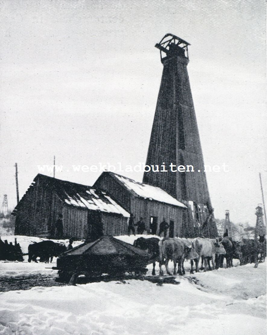Roemeni. Boortoren te Bustenari. Op den voorgrond een transport bespannen met trekossen