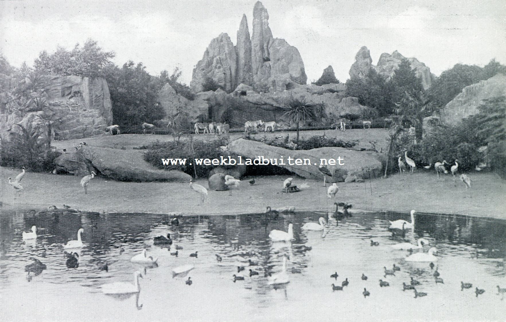 Het landschap bij Hagenbeck. Te water en te land in Hagenbeck's dierenpark