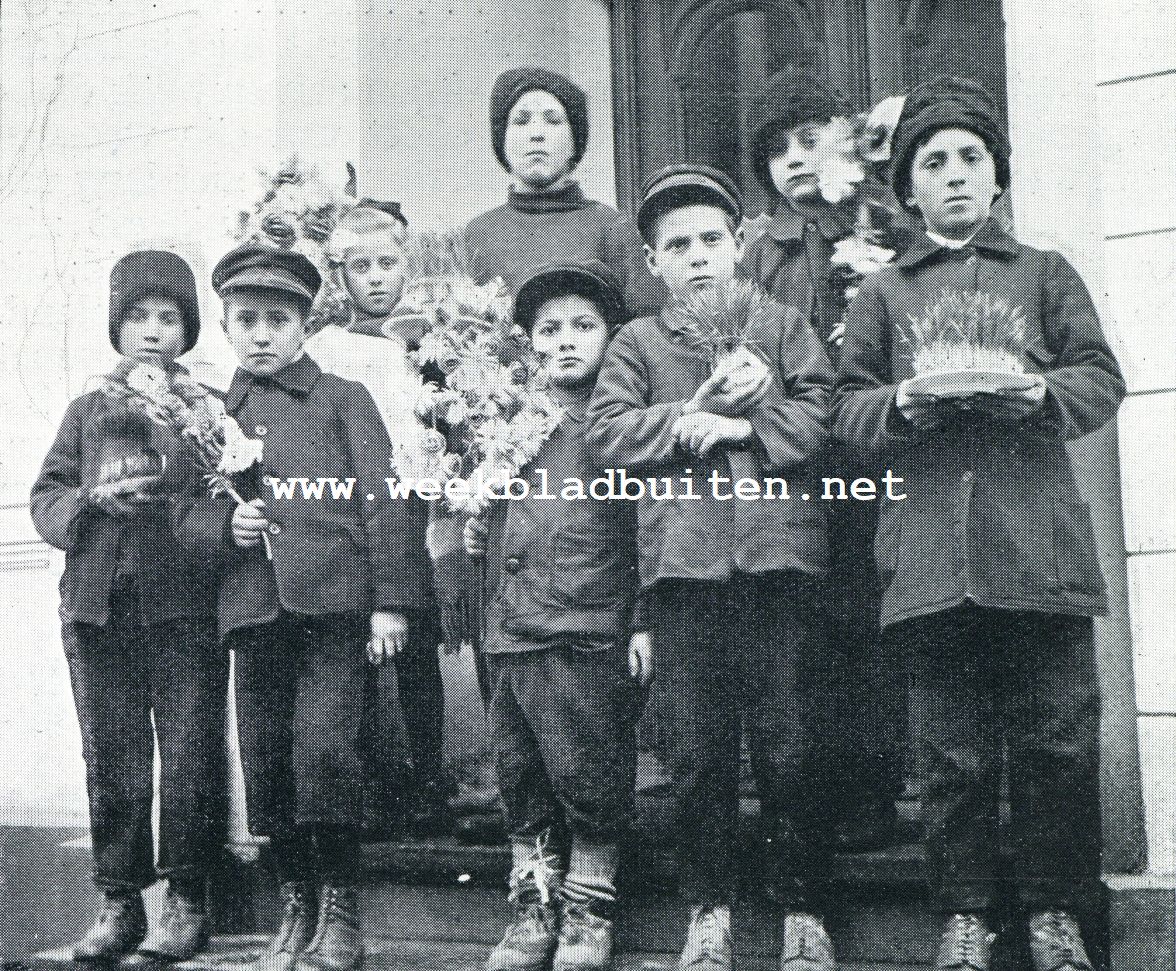 Roemeni. Nieuwjaar-wenschende kinderen te Ploesti met sorcova's en jonge tarwe