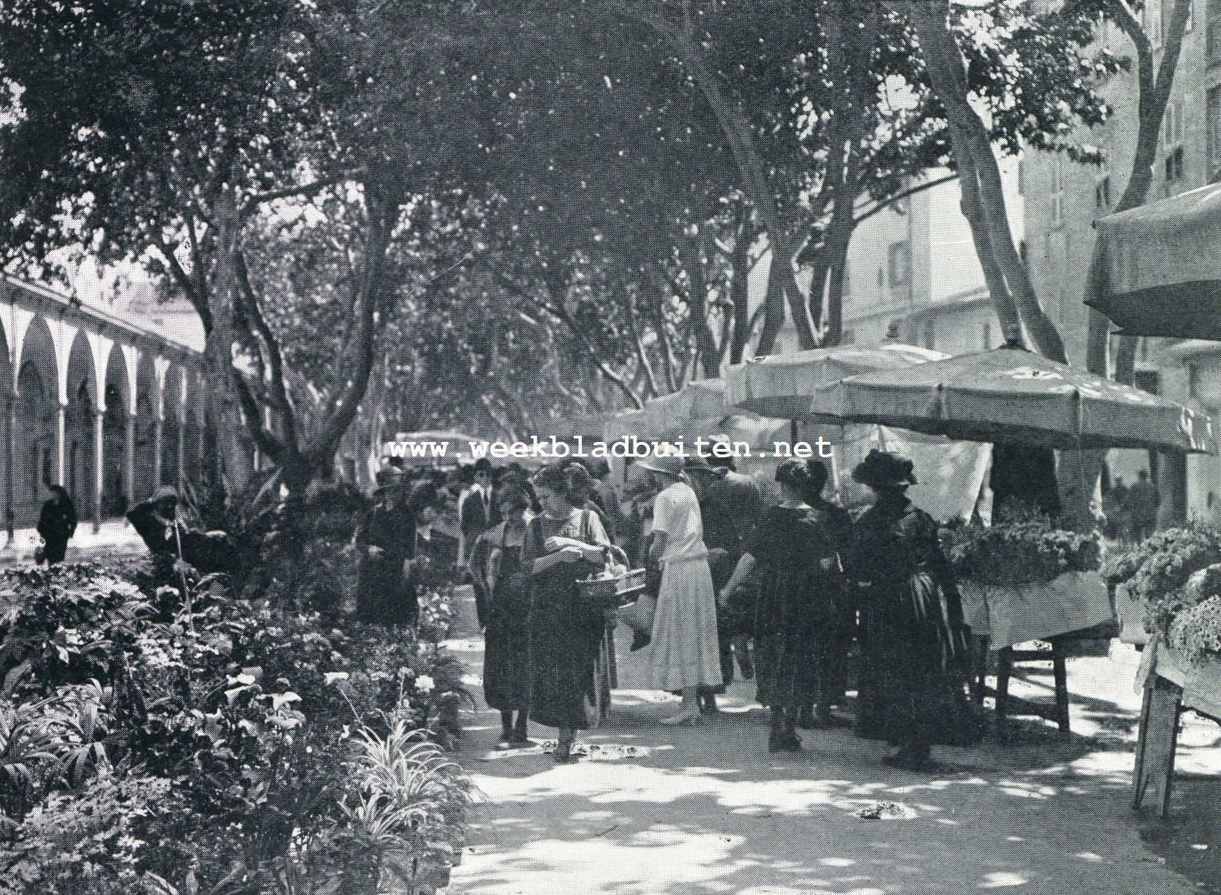 Oude steden aan de Cte d'Azur. De bleomenmarkt te Nice in flonkerende kleuren