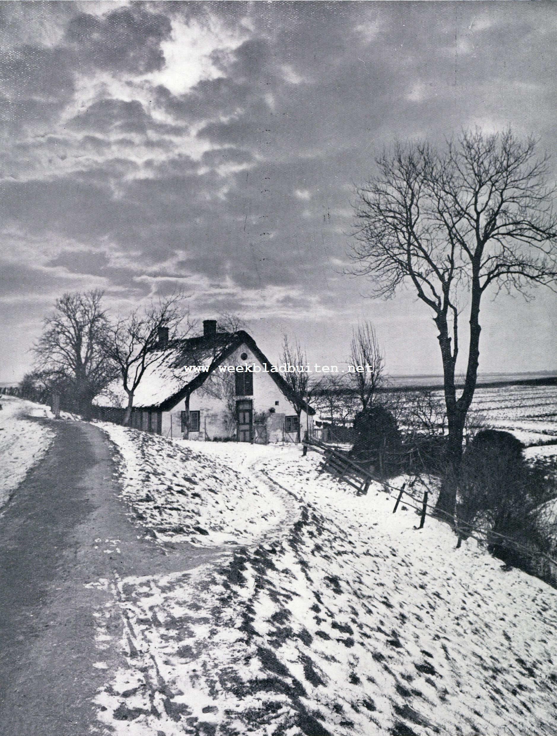 STILLE NACHT, HEILIGE NACHT