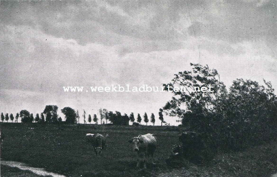 LANDSCHAP TE ZUID-SCHALKWIJK