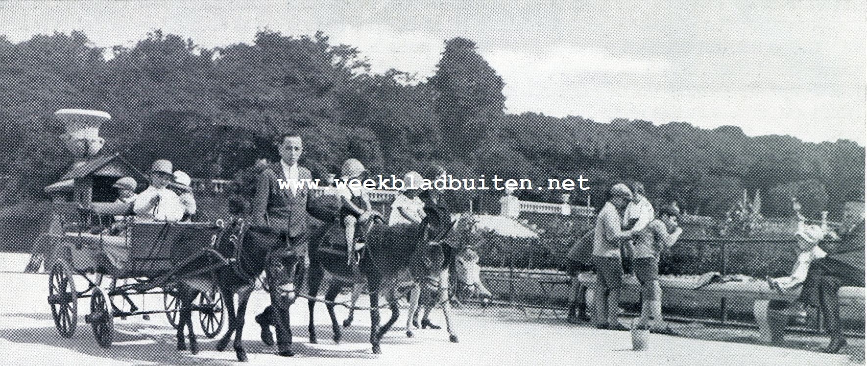 IN HET LUXEMBOURG ZIJN DE EZELWAGENS EN OOK DE EZELRUGGEN BIEDEN PLAATS