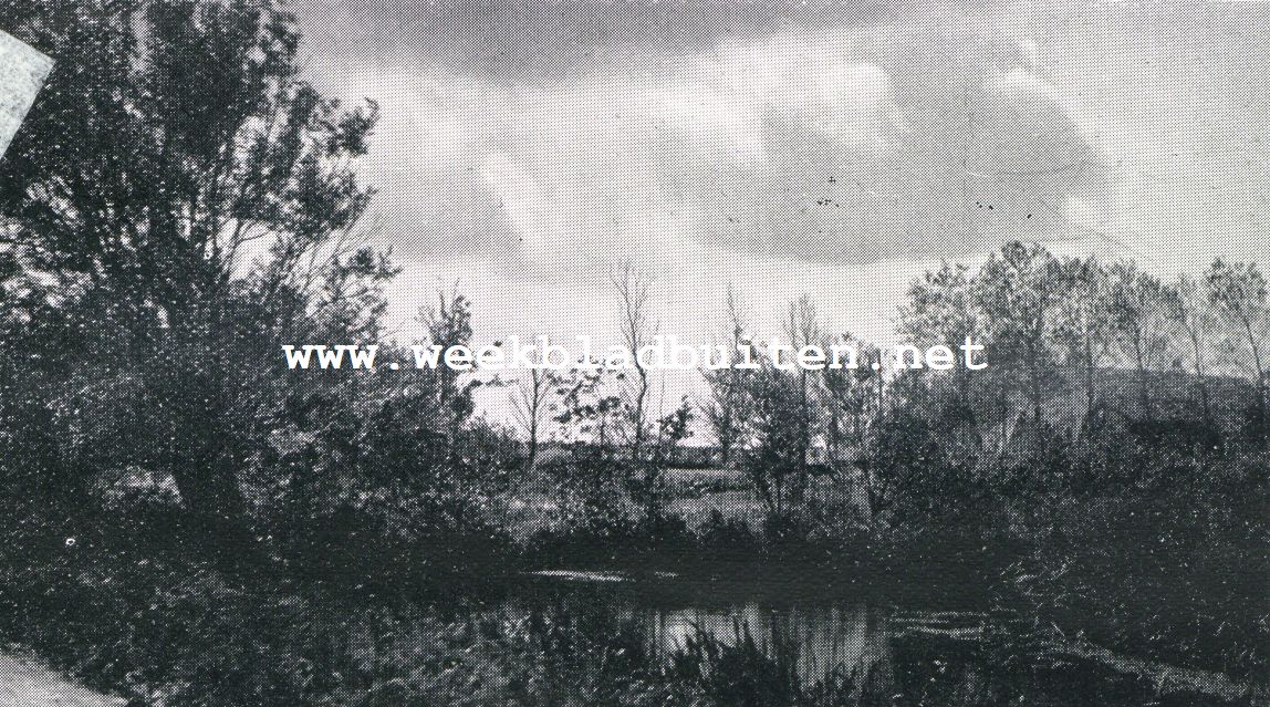 Landschap te Zuid-Schalkwijk