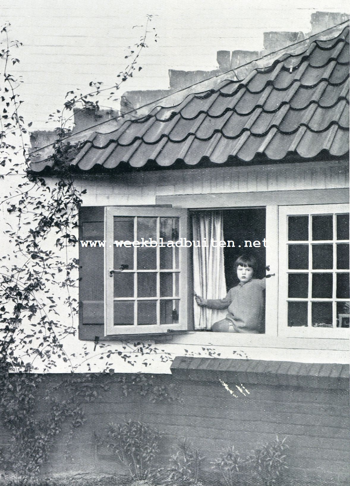 Moderne landhuizen. St. Hubertushof een fleurig detail