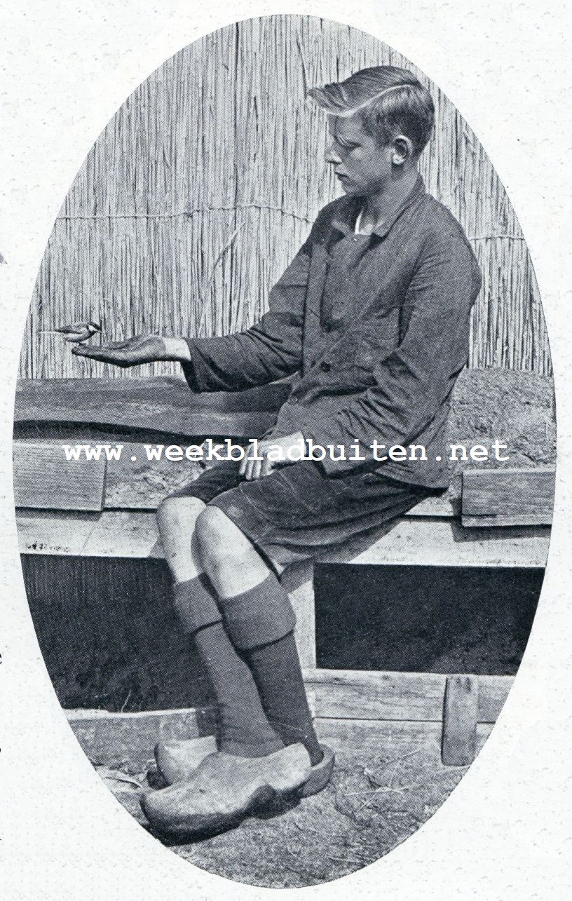 Meezen-vertrouwen. Volkomen vertrouwen