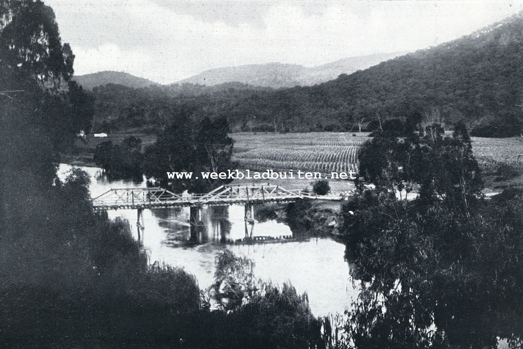 Kijkjes in het vijfde werelddeel. Junction Bridge in N.-Z. Wales