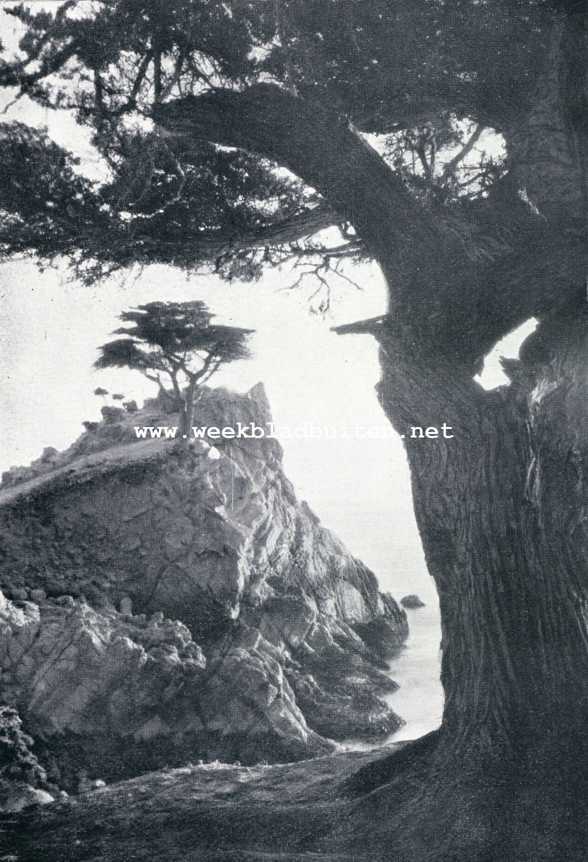 Point Lobos ten Z. van San Francisco