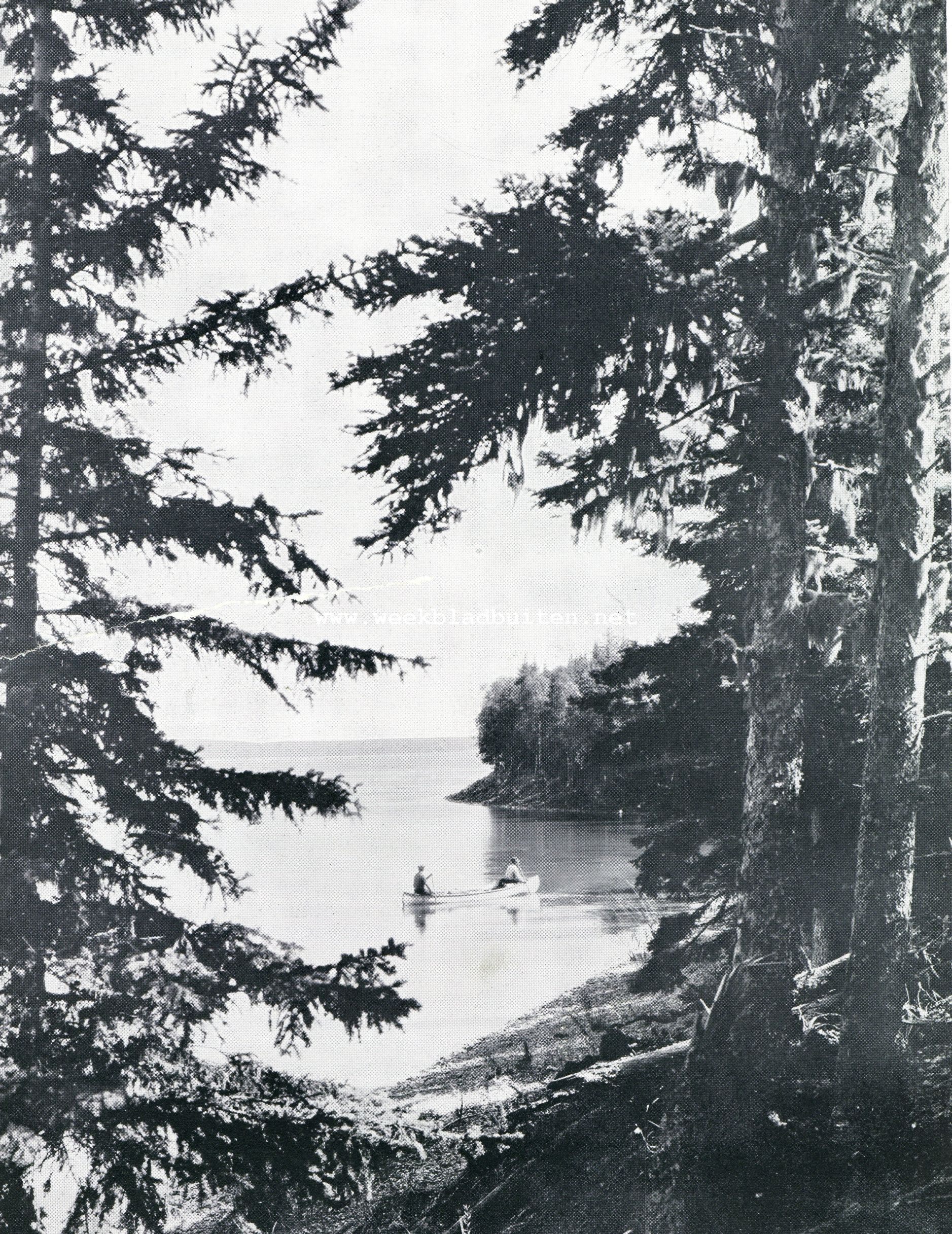 Prince Albert National Park, Canada, Stony Point aan het Kingsmere-meer