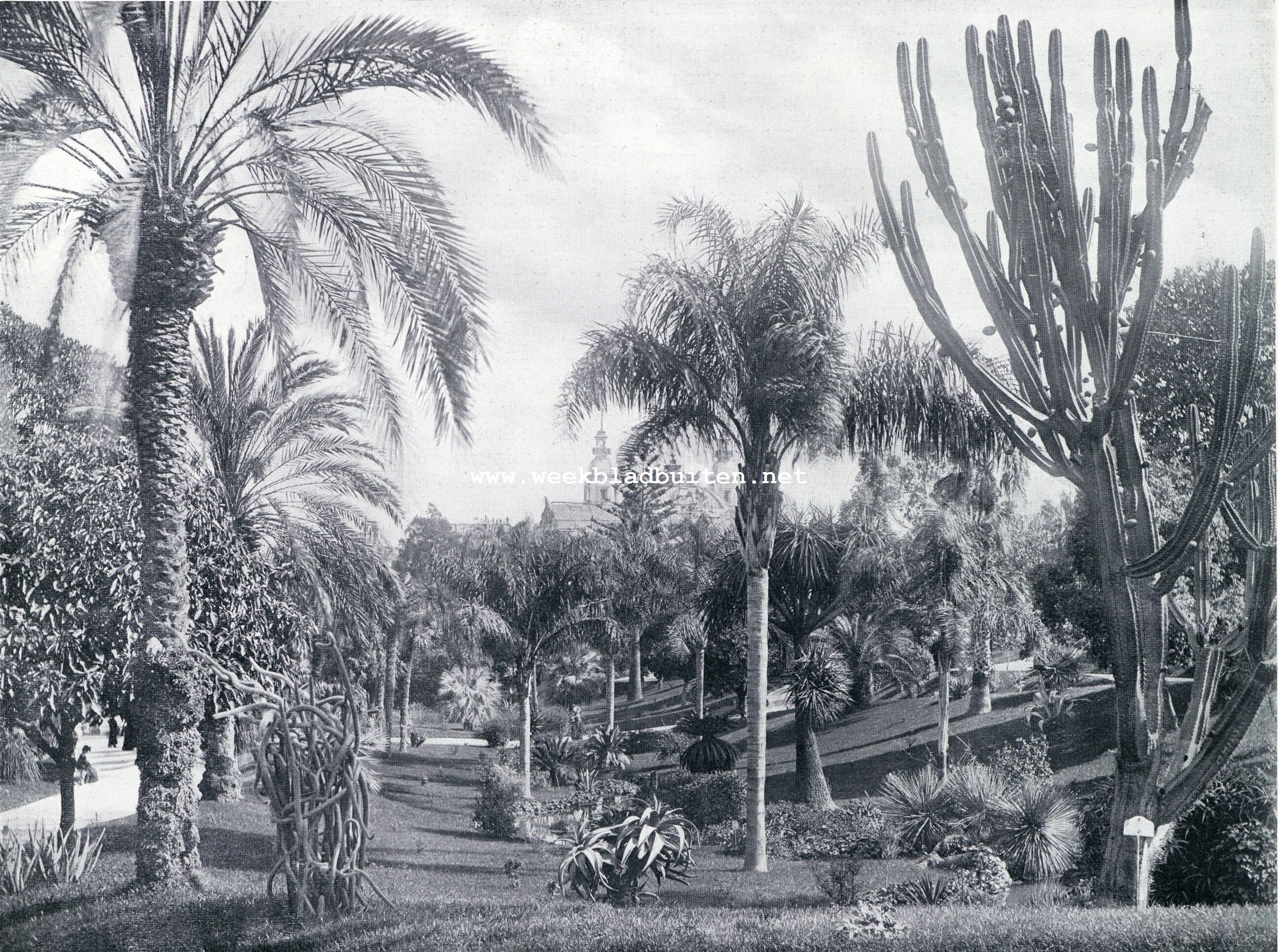 Landschappen in en om het vorstendom Monaco. De tuinen van Monte-Carlo