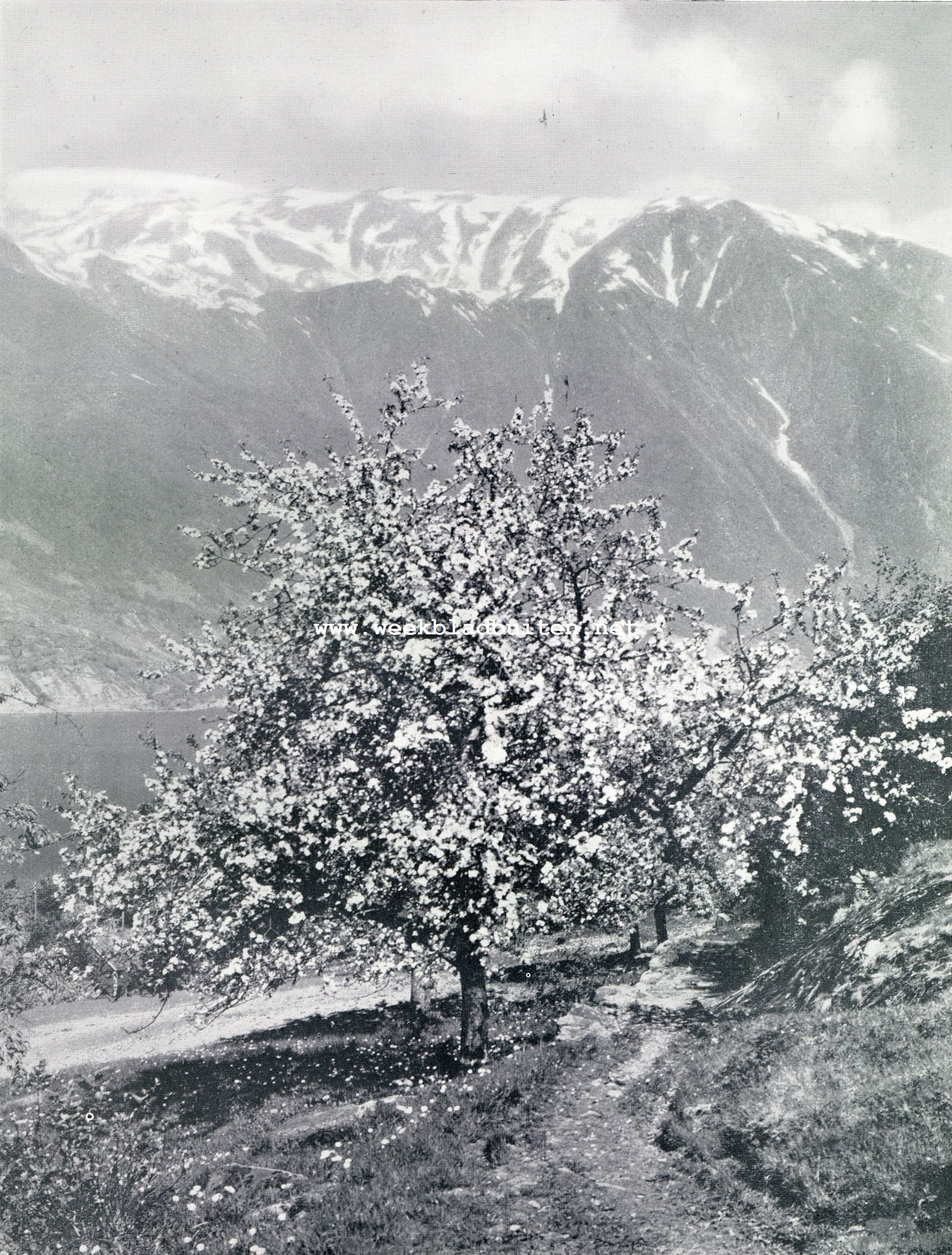 De Srfjord, Hardanger
