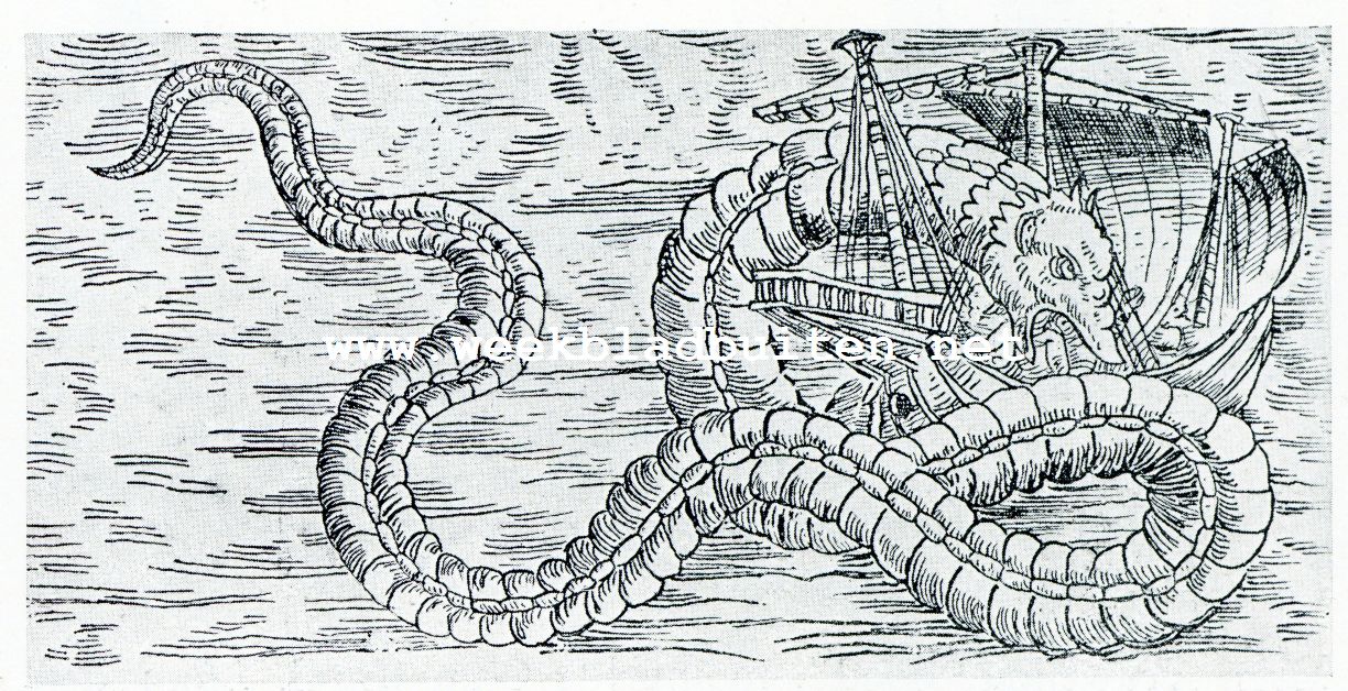 De zeeslang, die Gessner in 1560 zag
