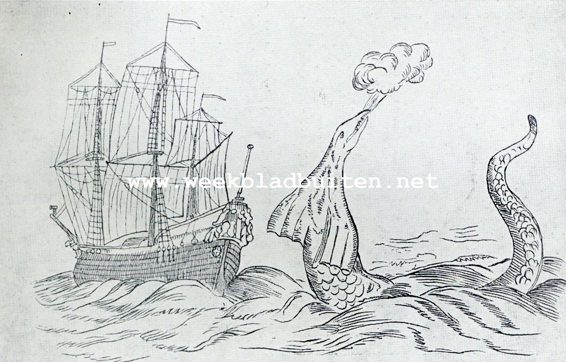 De ontmoeting tusschen de Daedalus en een zeeslang