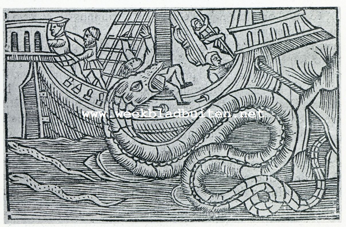 Een zeeslang uit 1555