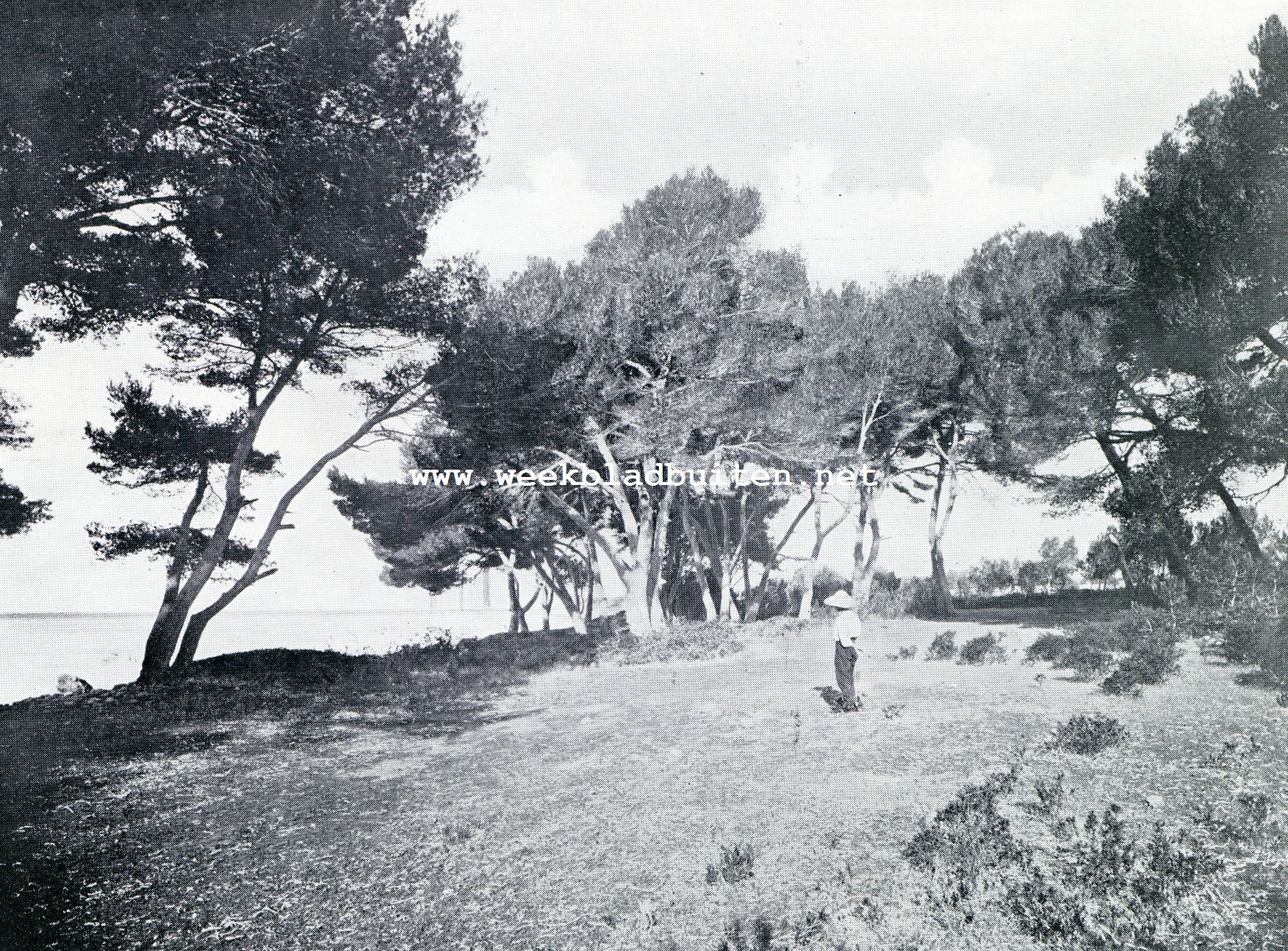 Bij de monniken op Saint-Honorat. Op het stille eiland der monniken