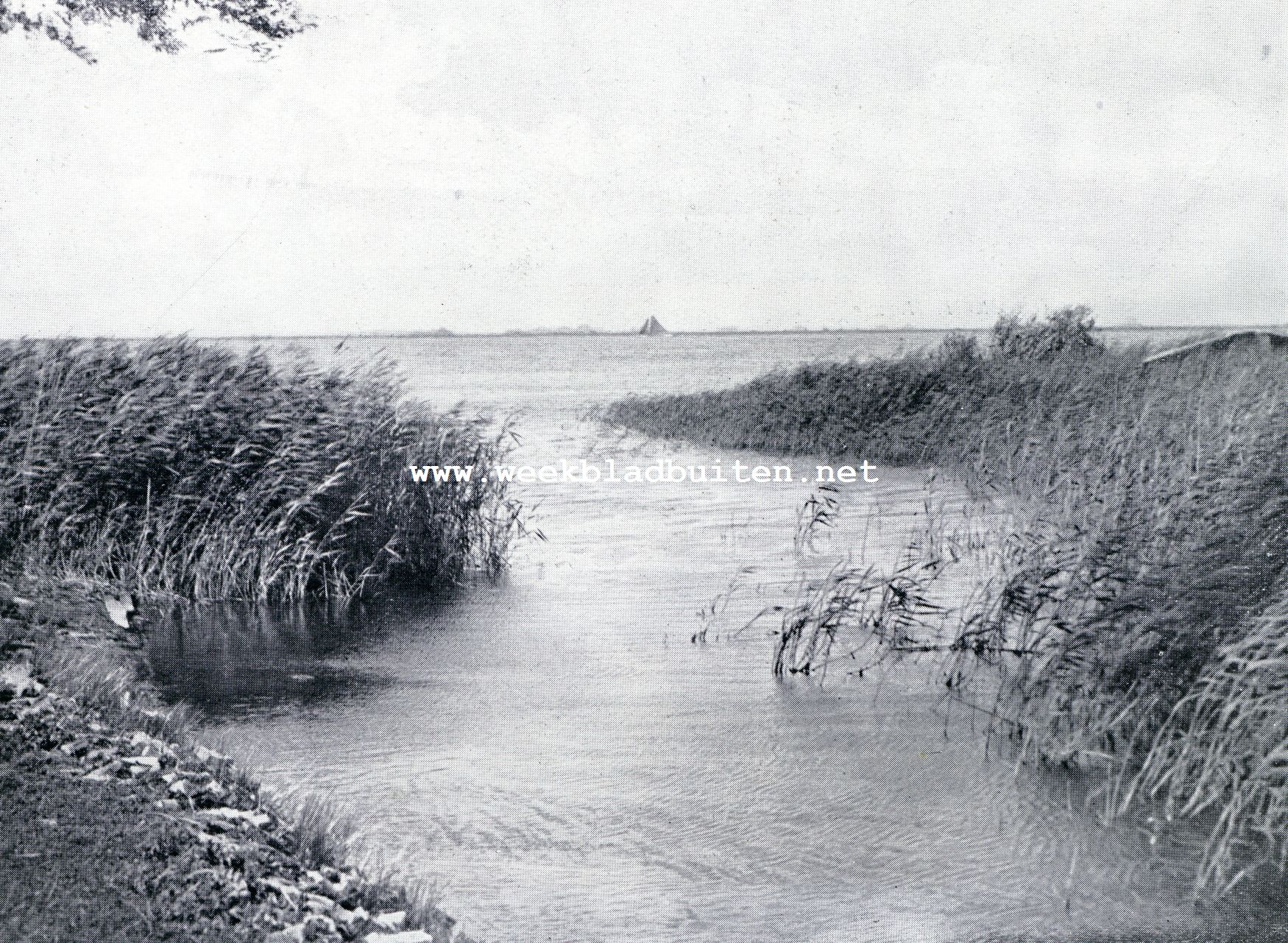 Op Friesland's wateren. Langweerderwielen