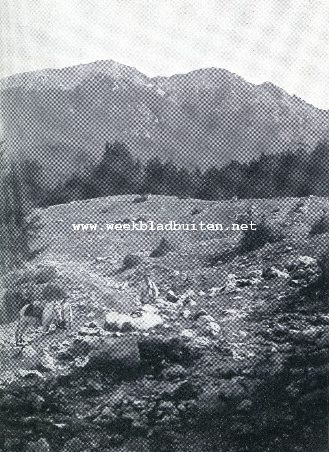 De Monte Amaro in het Italiaansch natuurpark