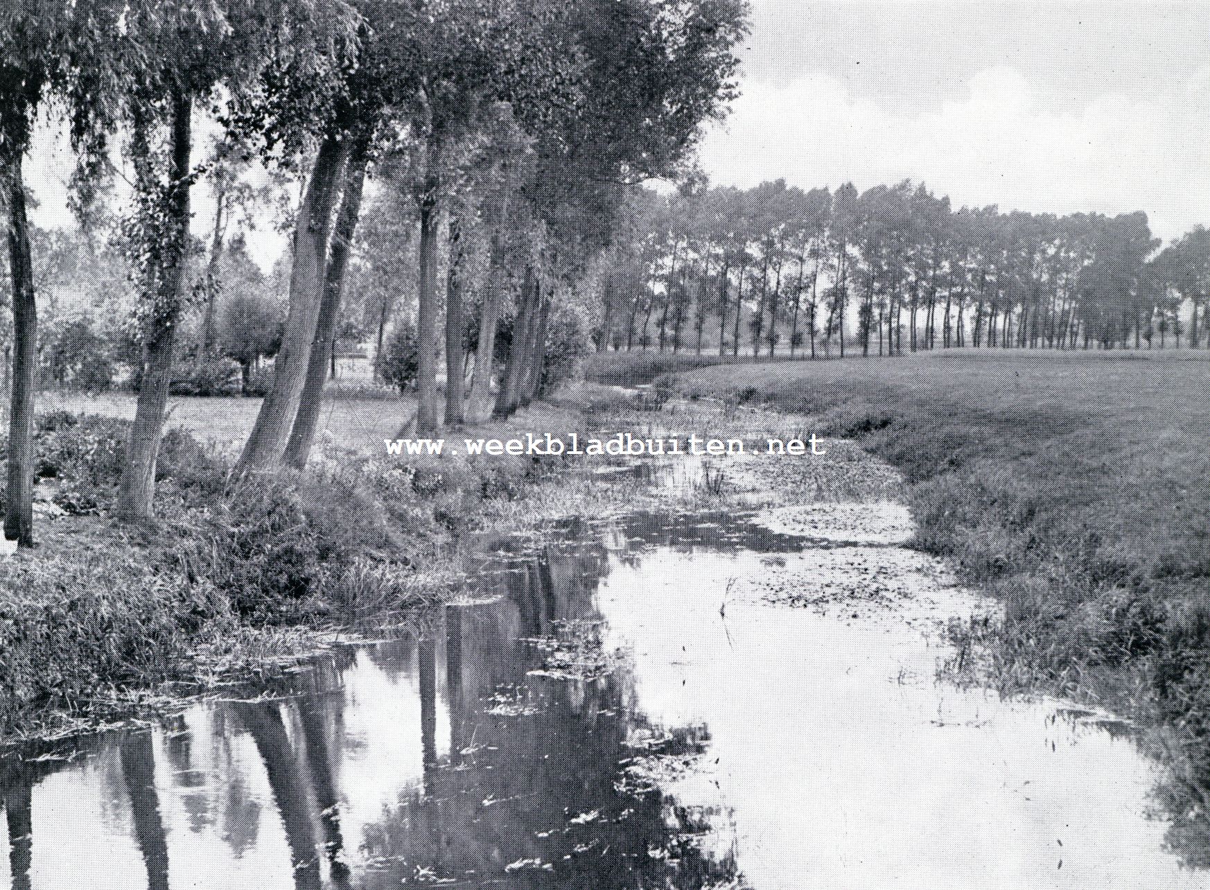 Langs de Brabantsche Aa. De Aa  als riet en waterlelies den weg dreigen te versperren 