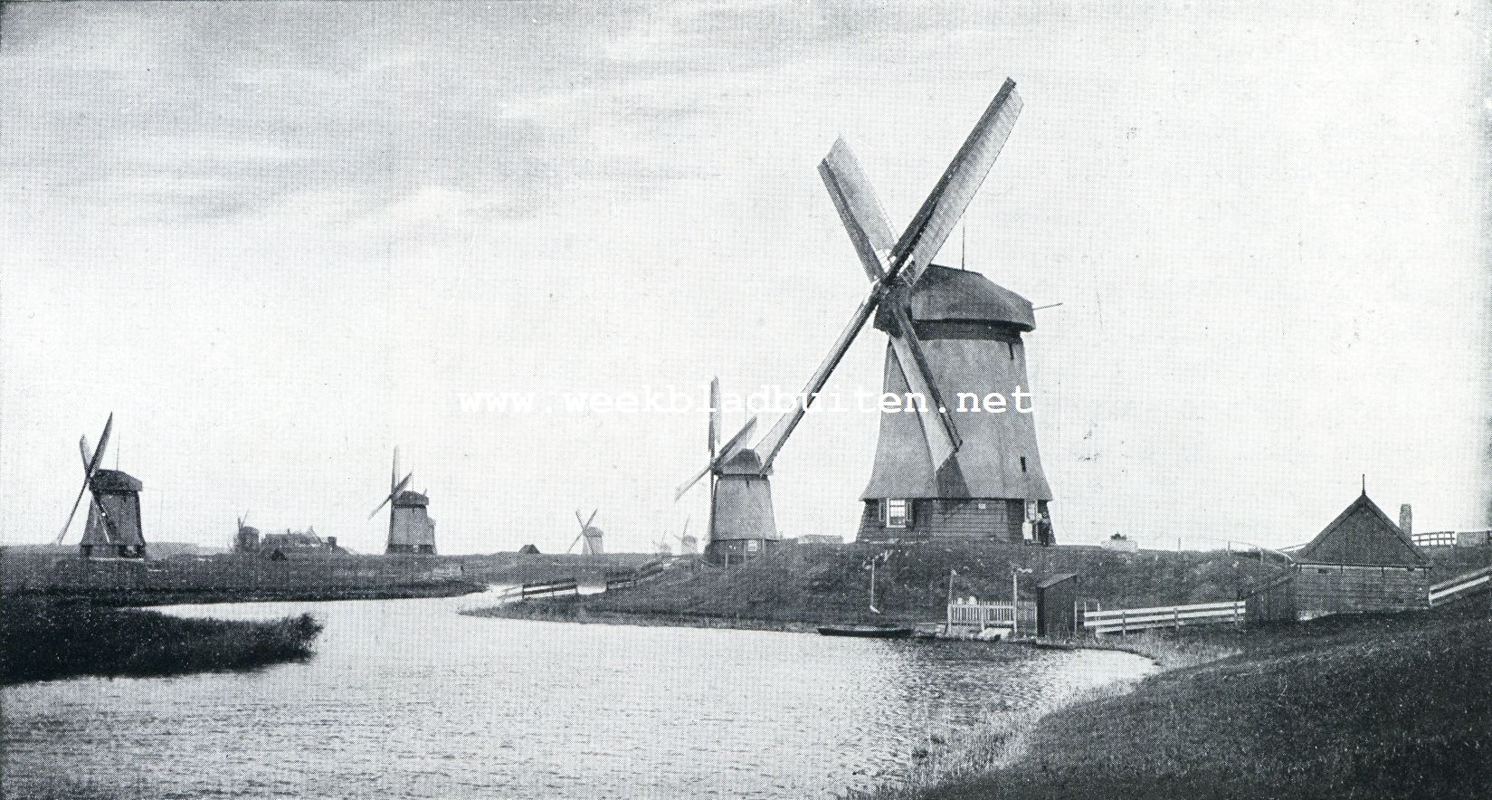 Noord-Holland's polderland. De Schermer