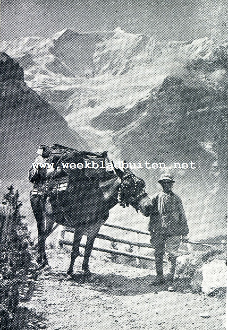 De Zwitser. Postbezorging op den Faulhorn