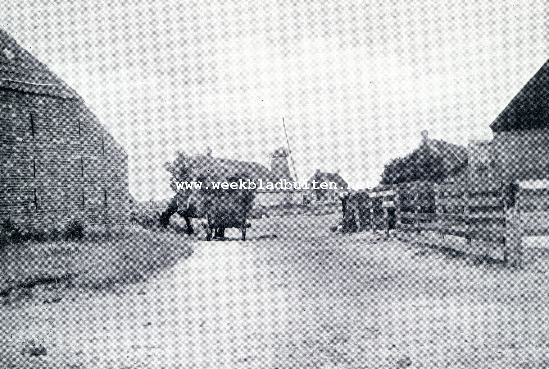 Naar Ameland. Ameland - gezicht op Hollum