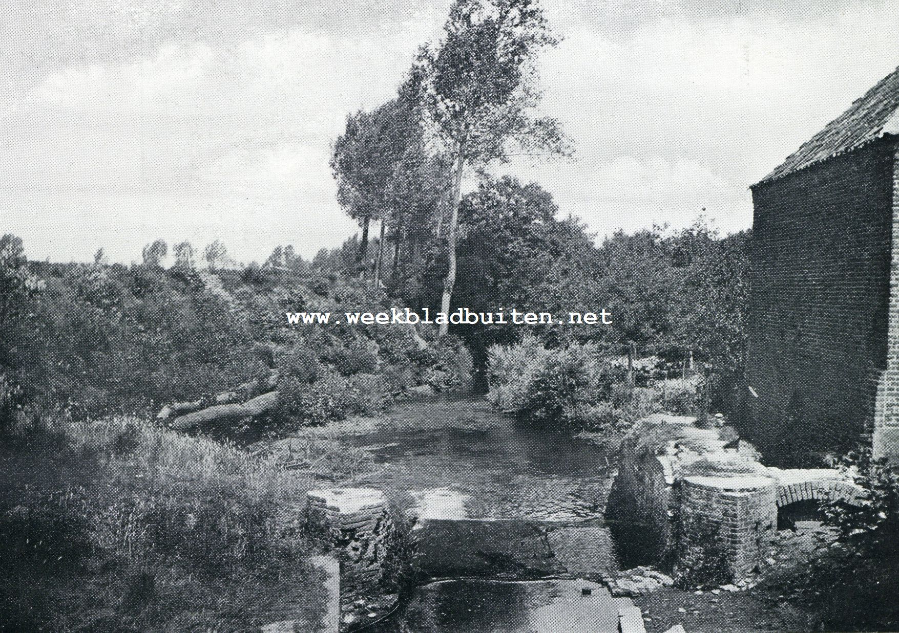 Oude watermolen op de Vlootbeek te Linne