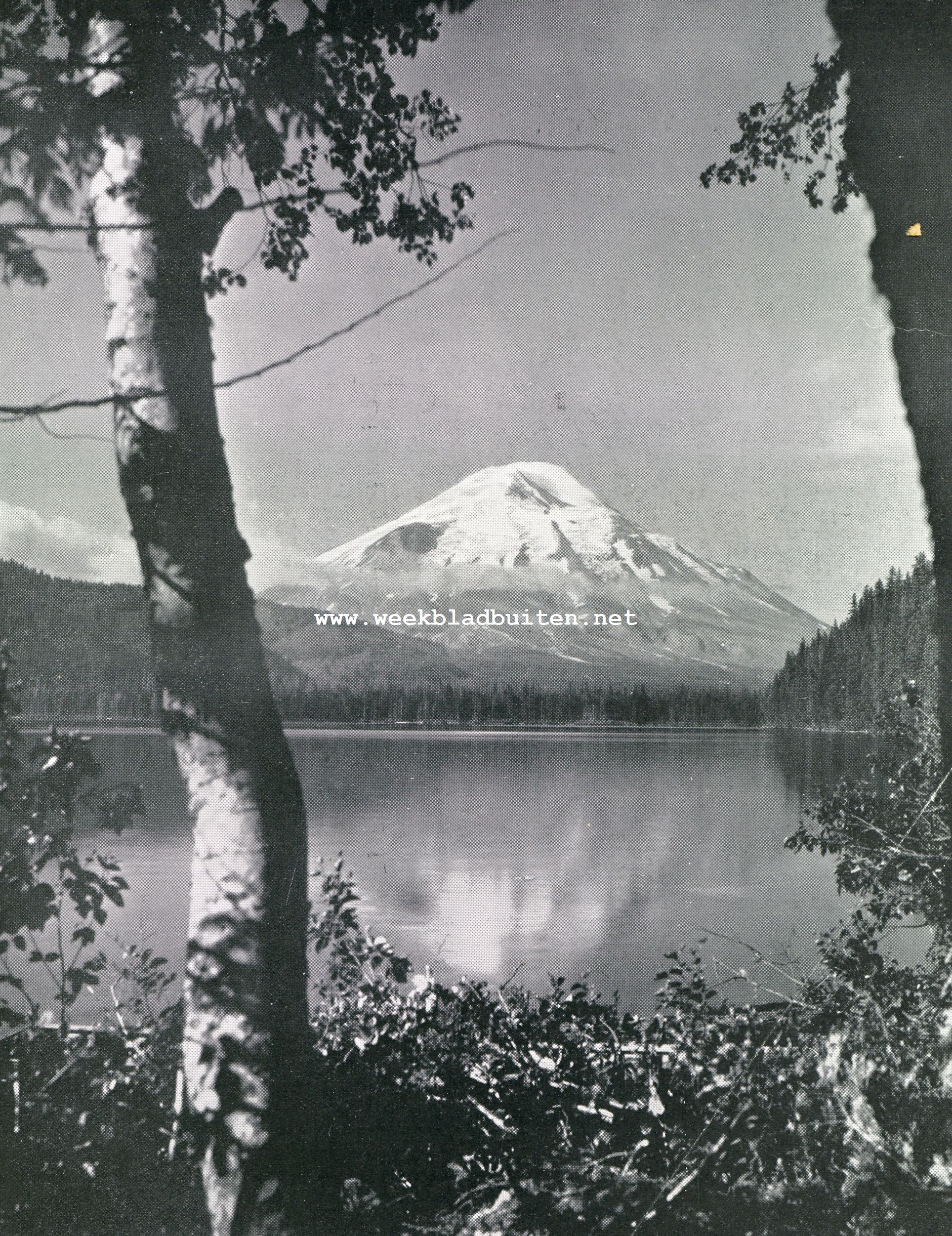De Sint-Helens, een bergketen ten Noorden van Portland in den staat Oregon (U.S.A.)