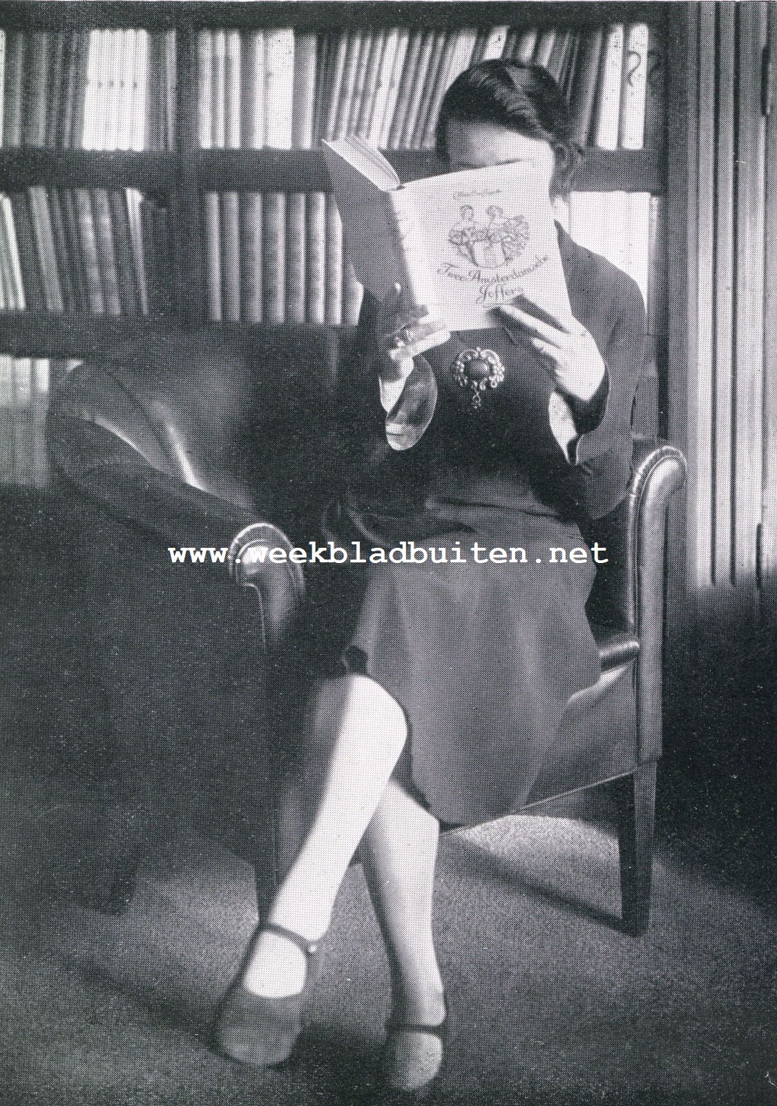 Het boek en de menschen. De roman