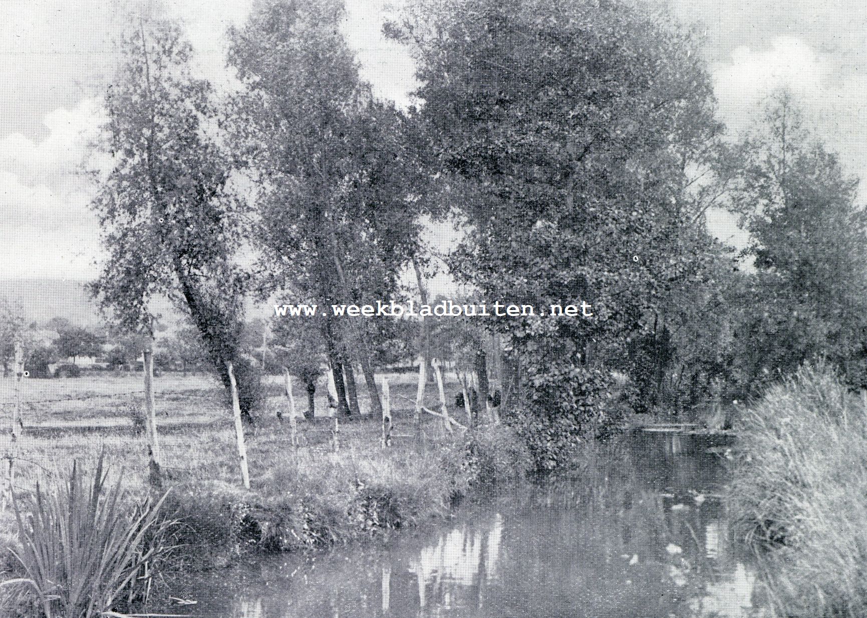 Rondom Maas en Geul. Het Geuldal, even buiten Epen