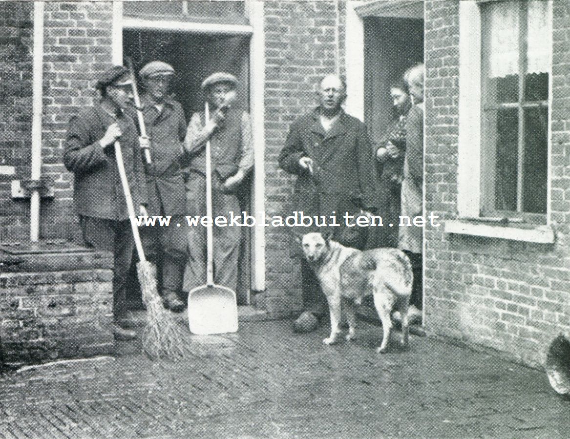 DRIEKONINGENAVOND. DE OOSTZAANSCHE STERREZANGERS