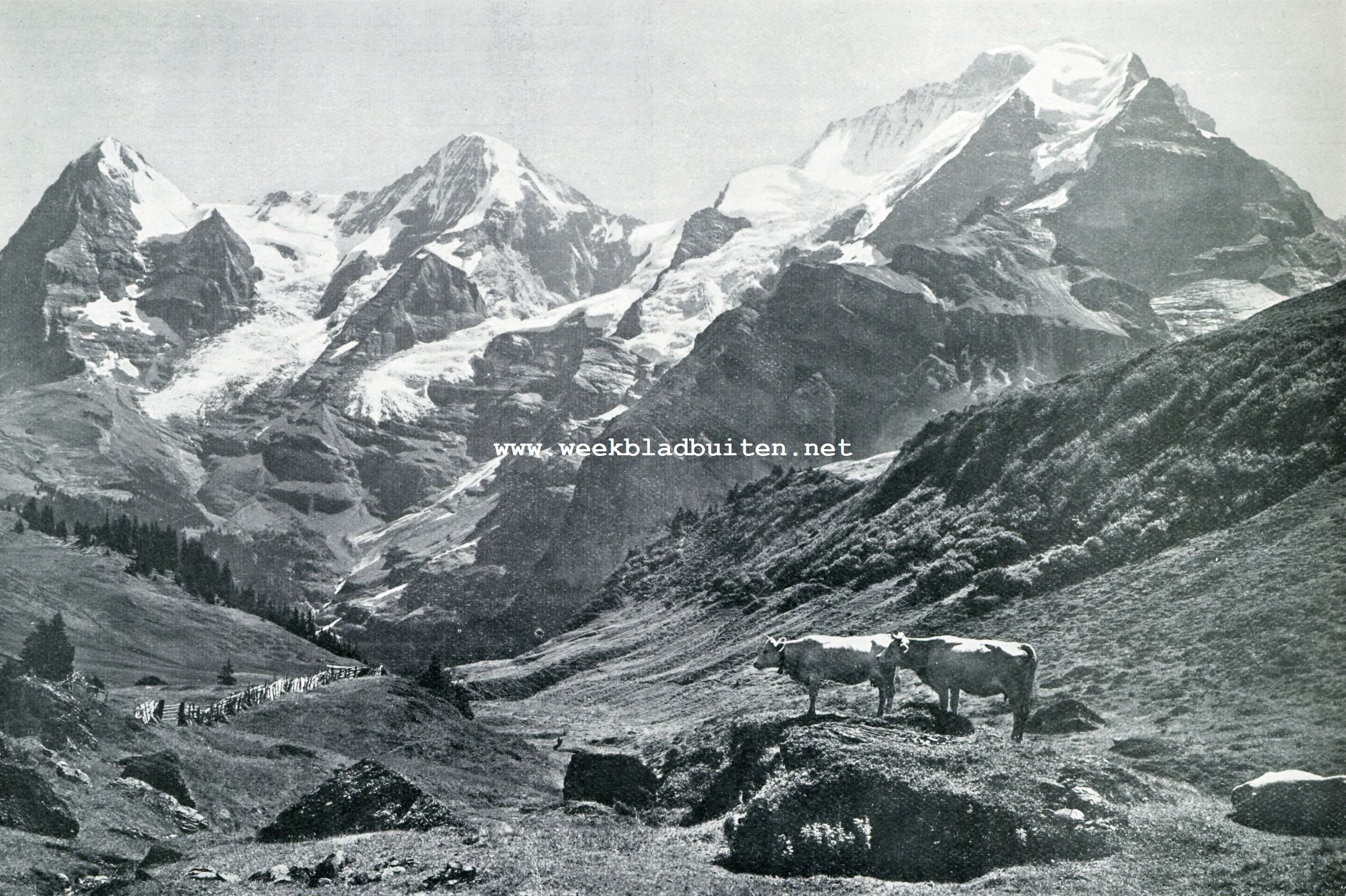 IN HET BERNER OBERLAND. EIGER, MNCEL EN JUNGFRAU