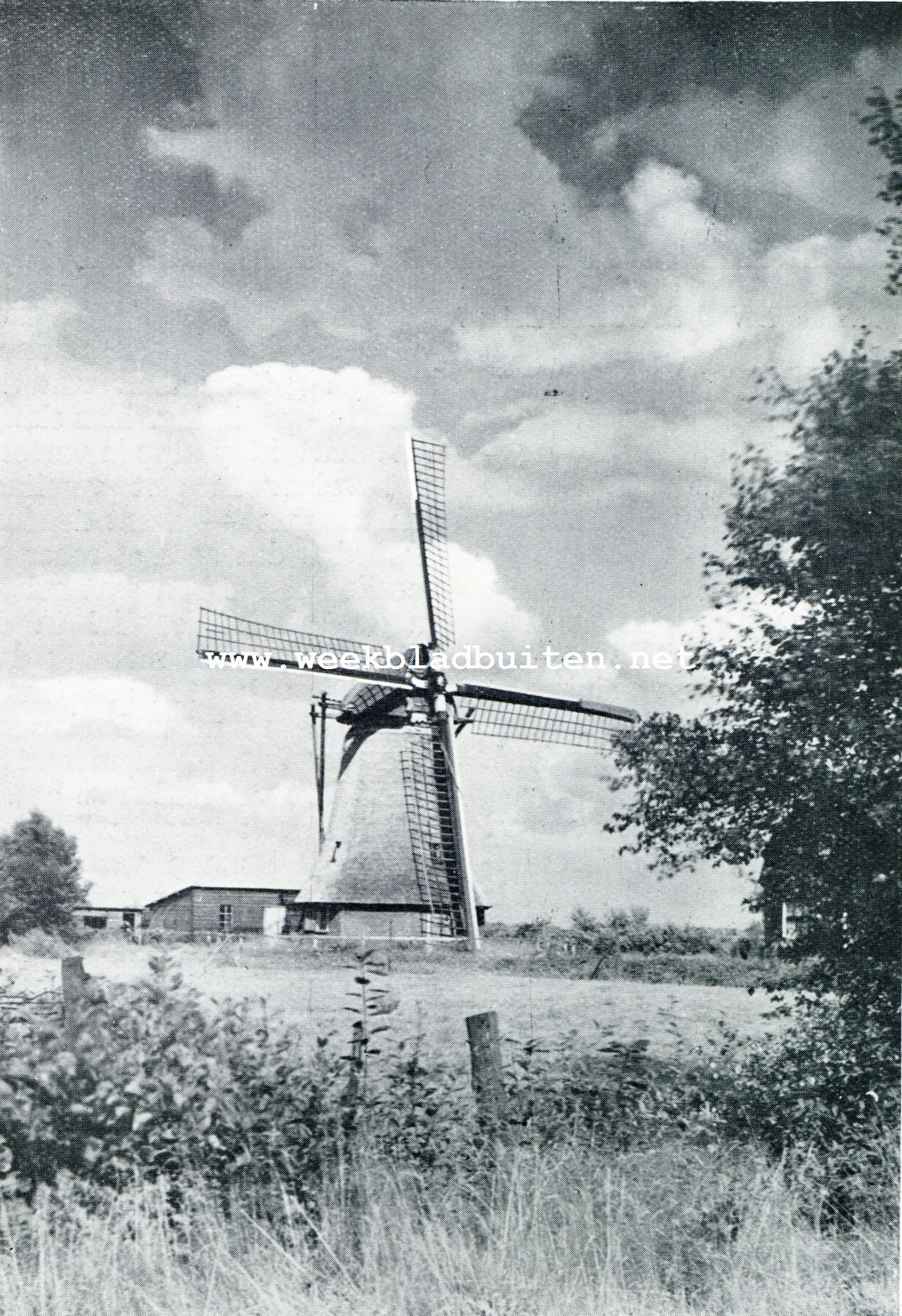 UIT DEN FOTOWEDSTRIJD. MOLEN BIJ WEKEROM