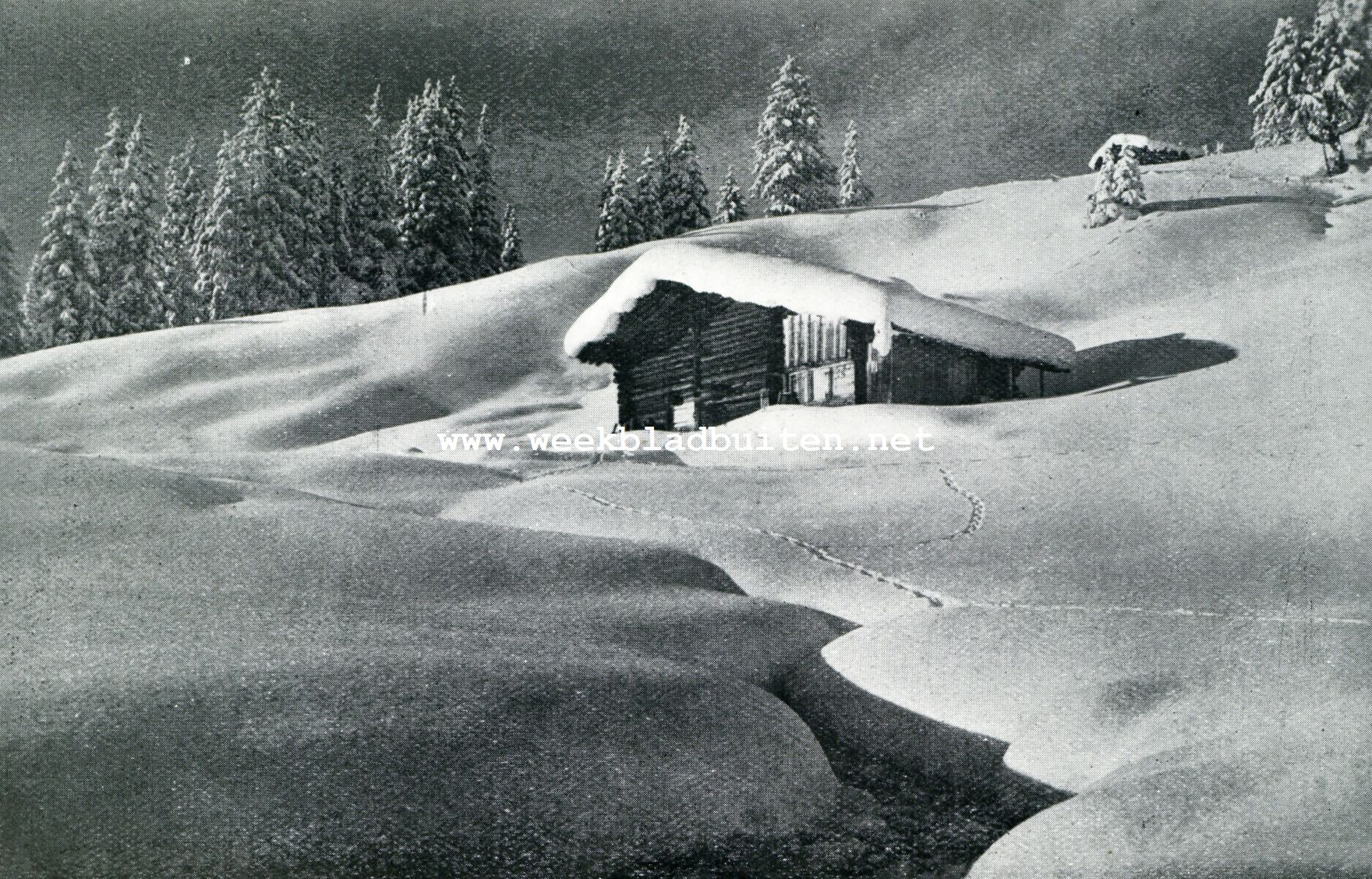 WINTER IN DE BERGEN. IN DE SNEEUW BIJ ADELBODEN