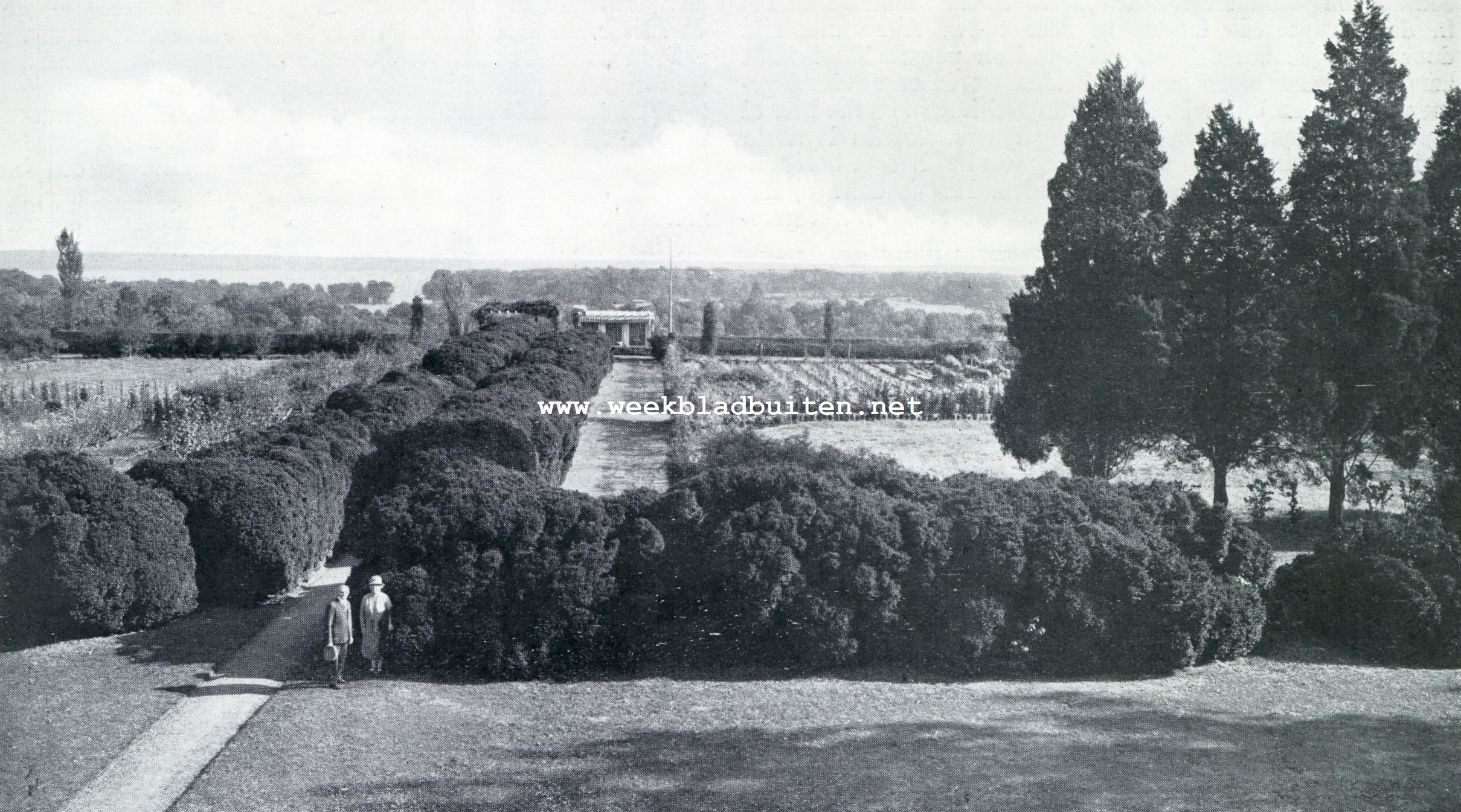 EEUWENOUDE TUINEN IN AMERIKAAMERIKA. DE TUIN VAN GUNSTON HALL MET DE ENORME BUXUSHAGEN VOOR-
DAT DE TEGENWOORDIGE AANLEG VOLTOOID WAS. OP DEN ACHTERGROND HET MODERNE THEEHUIS EN DE POTOMAC RIVIER