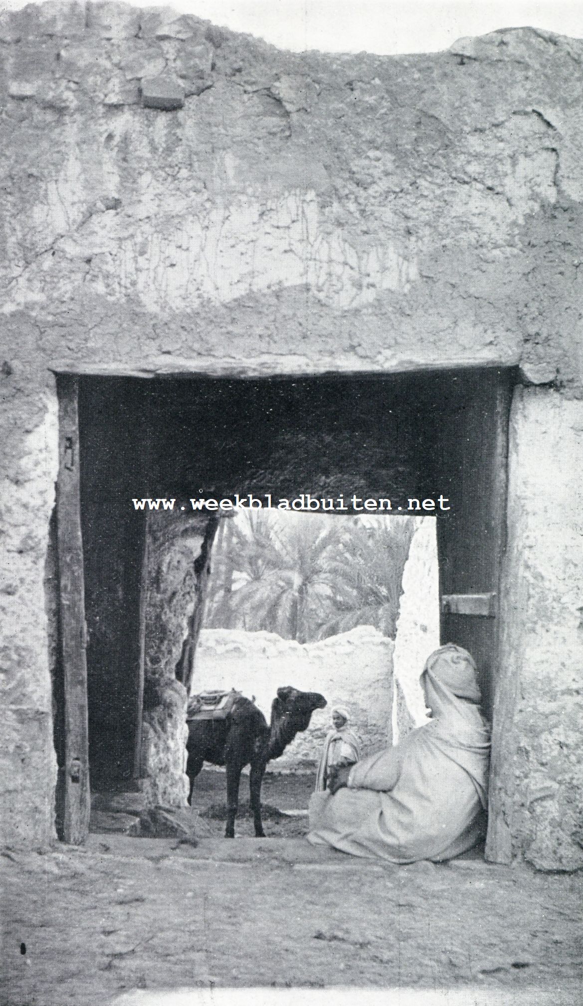 CARAVANSERAIL TE ALGIERS. (In den fotowedstrijd met een eersten prijs bekroond)