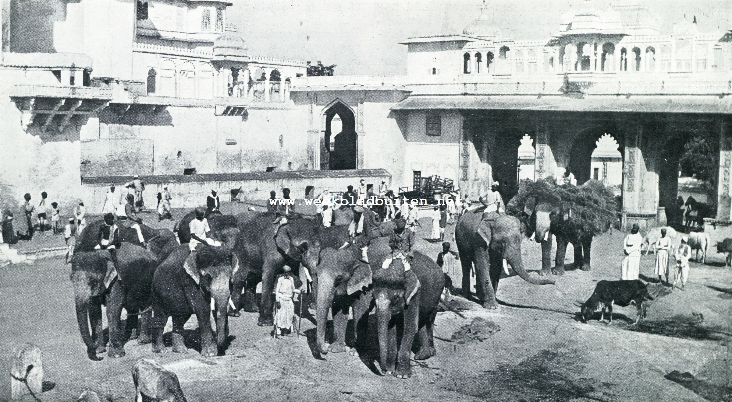DE OLIFANTENHOF IN HET PALEIS VAN DEN MAHARANA VAN OEDAIPOER