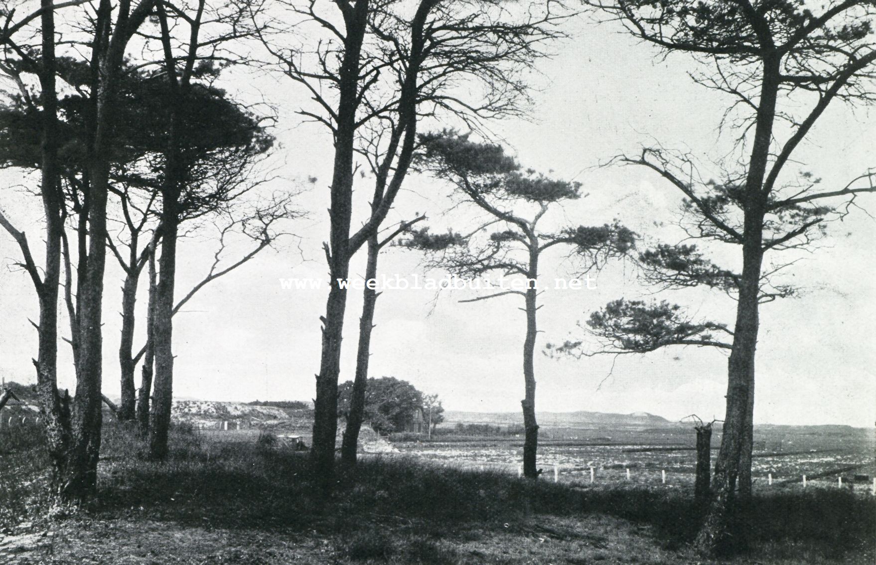 NOORDWIJKERHOUT. DE OMGEVING VAN HET DORP