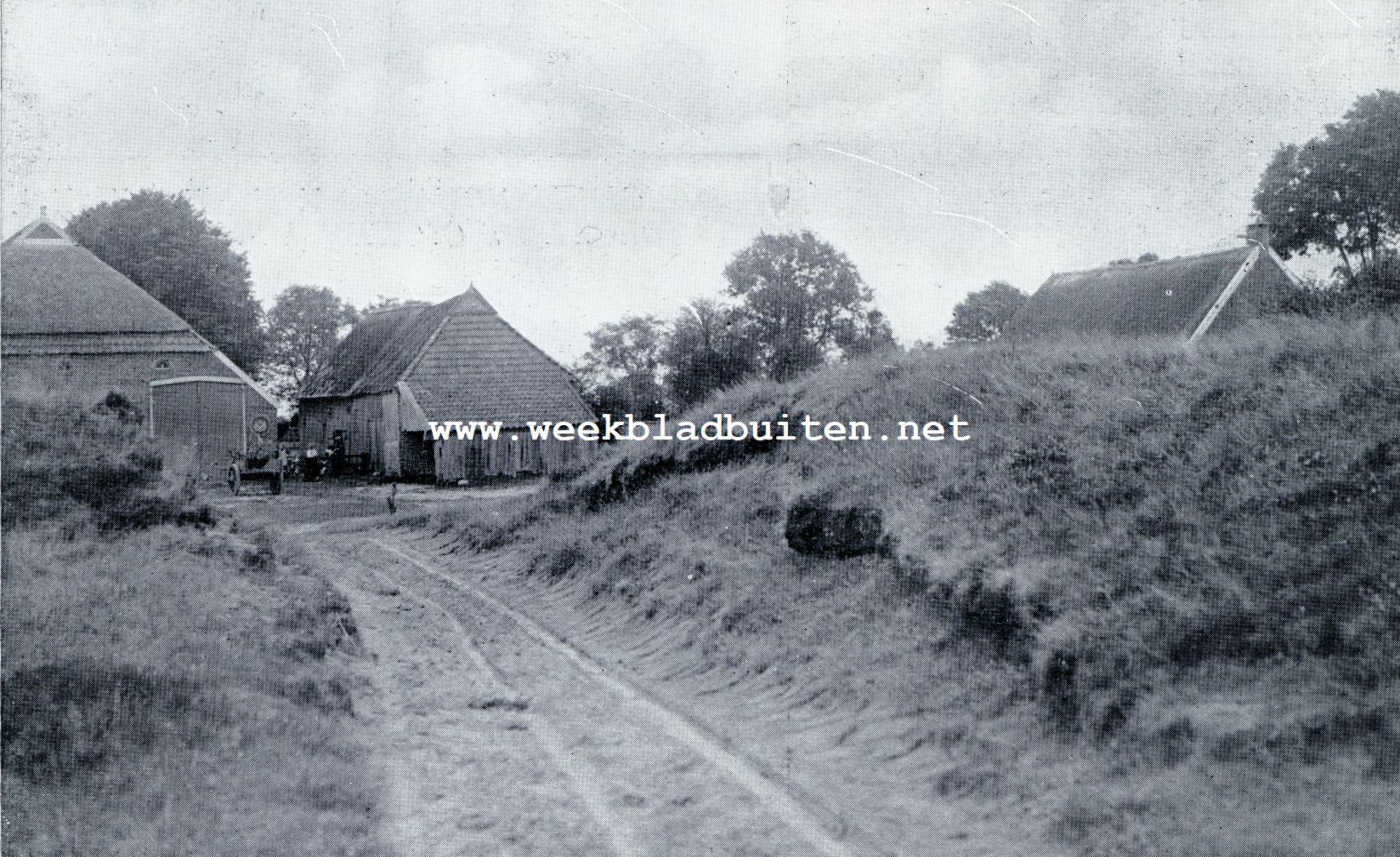 In het landje van den Drenth. Dorpsweg in Zeegse