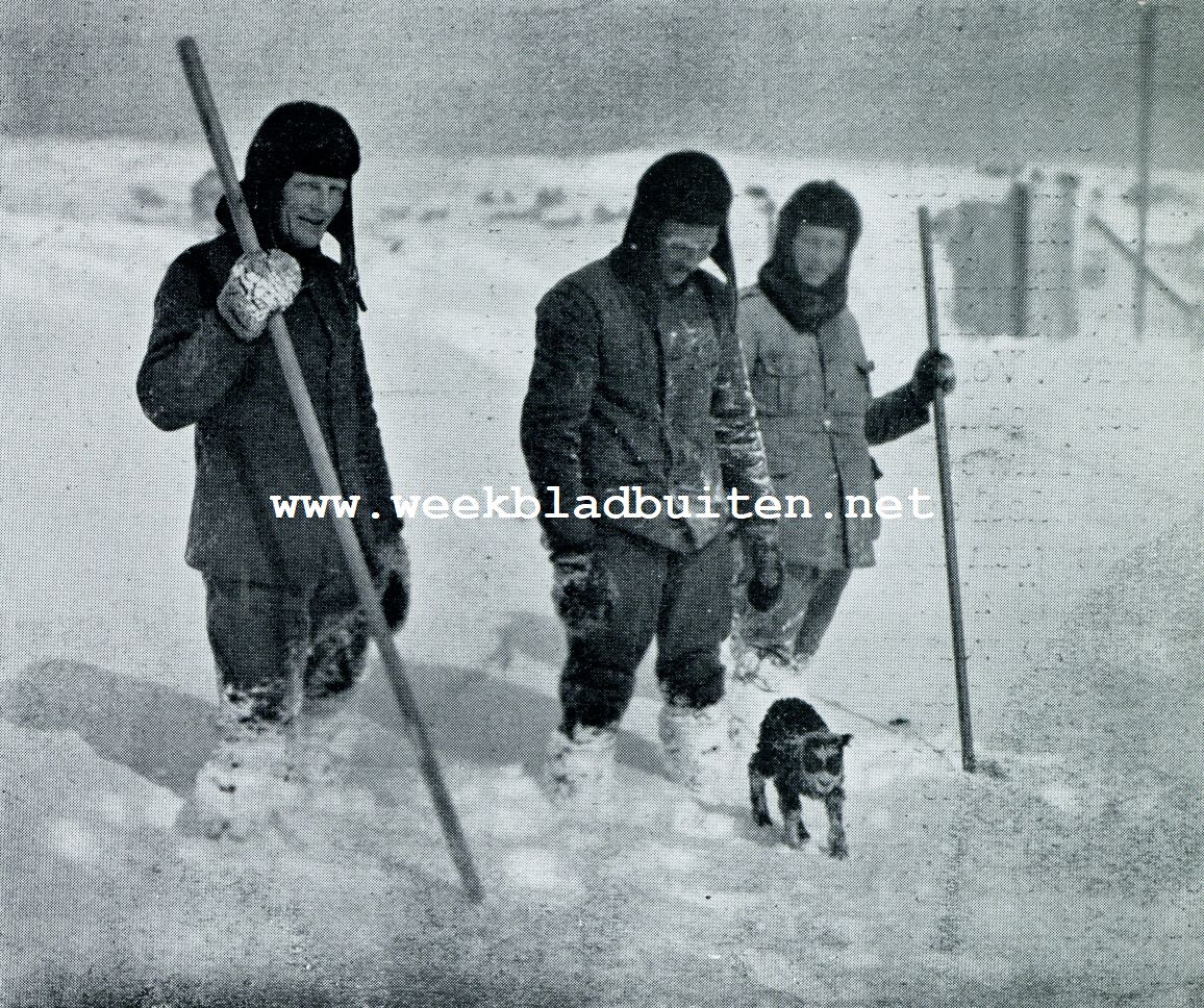 De Faeroer. Herders hebben een lammetje uit de sneeuw uitgegraven en voor bevriezen behoed