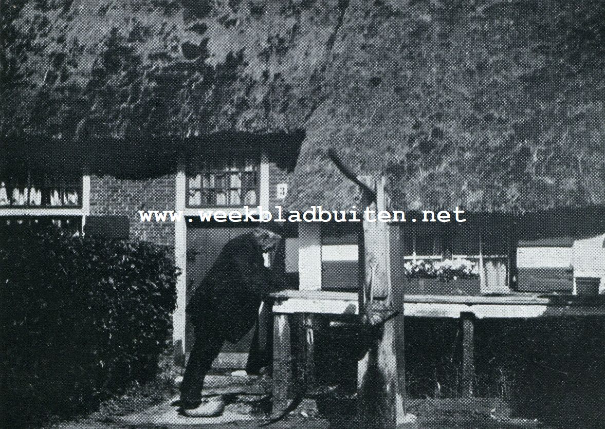 Laren (N.-H.) kippenvoeren. Foto bekroond in den fotowedstrijd